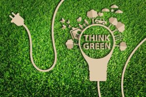 mutuo green